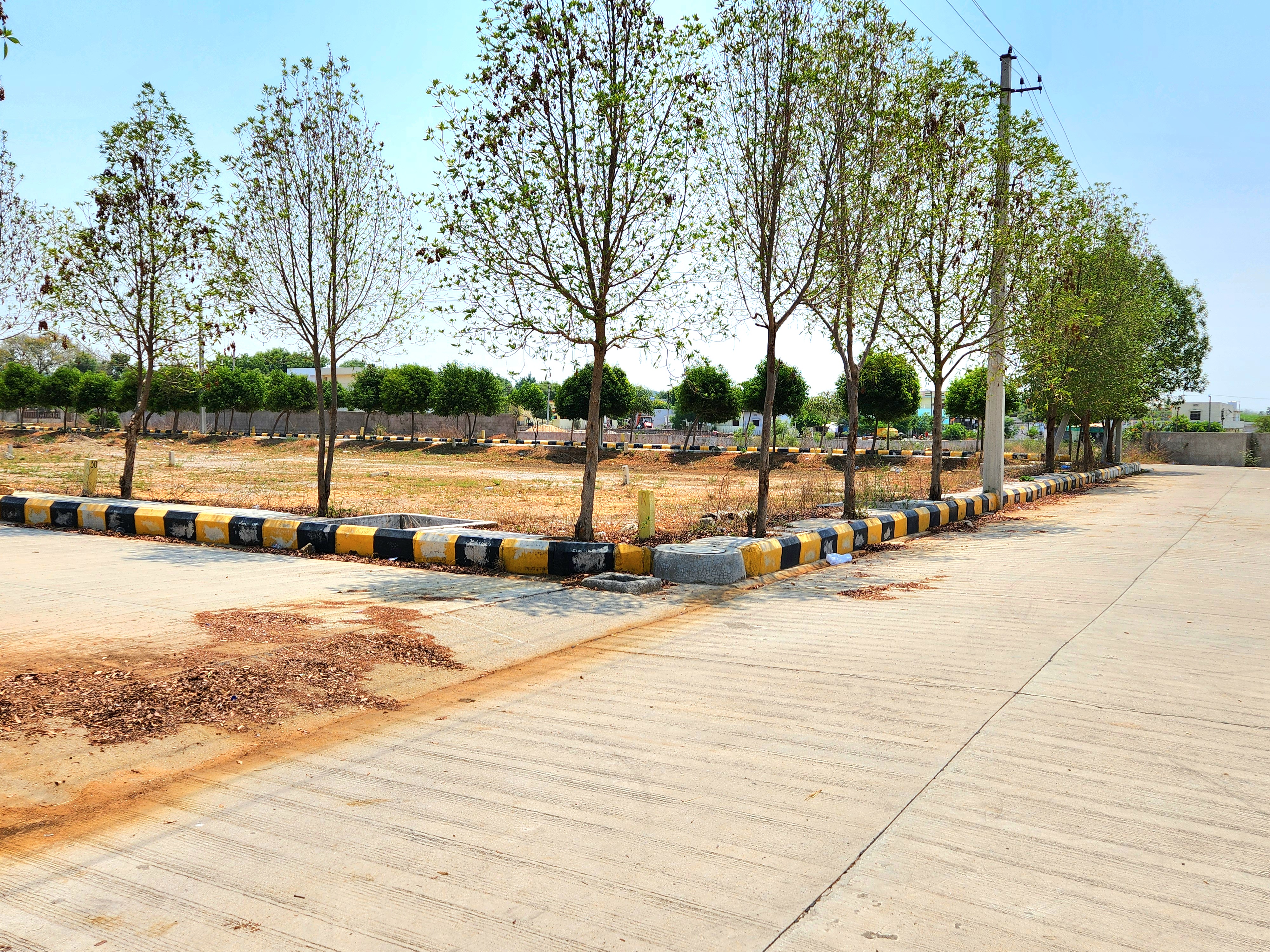 ever mark properties